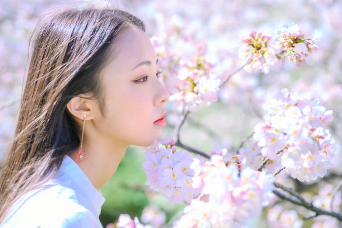 noaのTwitter画像53