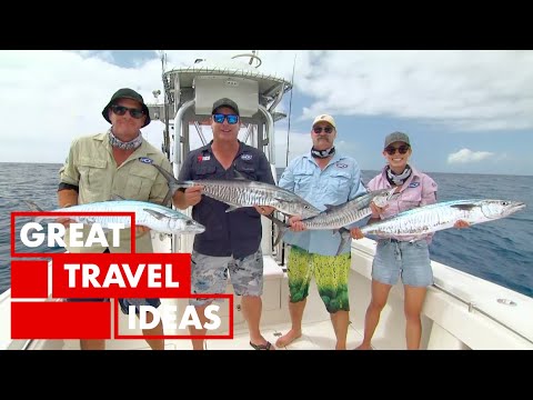 CleanHouseBlog's tweet image. Fishing in TROPICAL North Queensland | TRAVEL | Great Home Ideas youtube.com/watch?v=Qcmp6i…