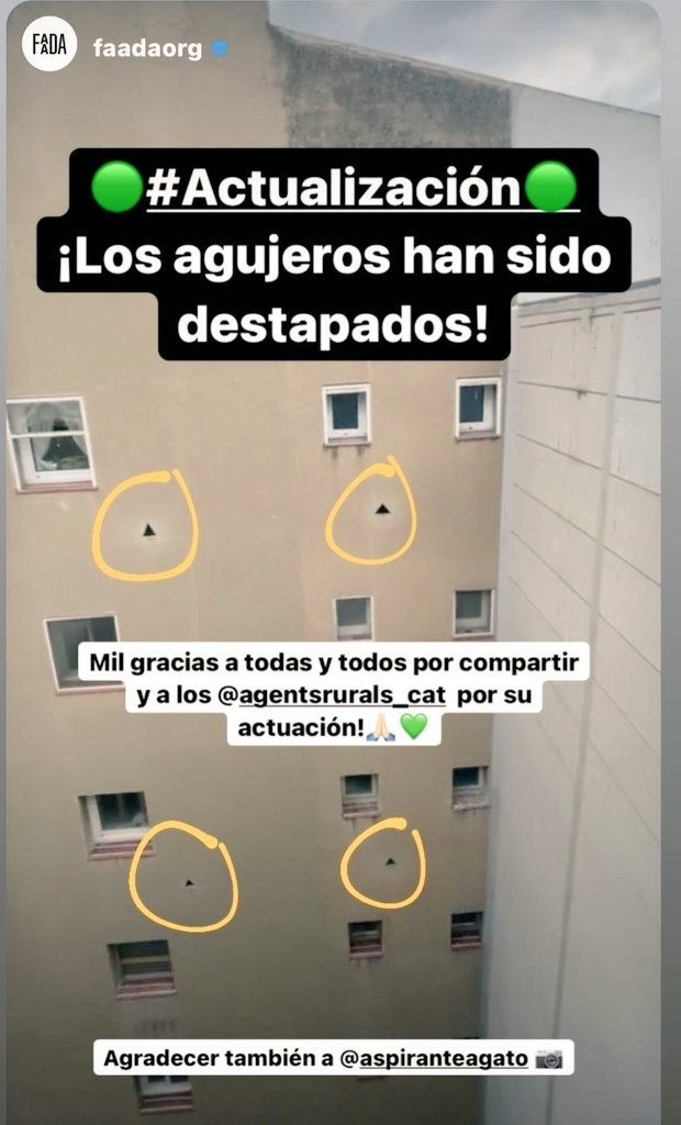 Sierrimiau's tweet photo. @elsquissos ACTUALIZACIÓN!! Los agujeros han sido destapados!! Las golodrinas ya podrán entrar a sus nidos🙏🏼💕Gràcies a l'actuació de @aspiranteagato @elsquissos @FAADAorg @agentsruralscat @mossos  #ausprotegides #avesprotegidas #empatiaanimal #orenetes #falciots #ballesters https://t.co/26thhyctBZ