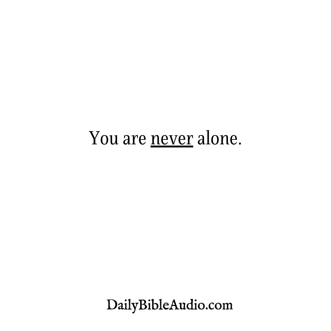 DailyBibleAudi1's tweet photo. God will never, ever leave you nor forsake you! β€οΈ
.
.
.
#bibleinlife #kingjamesworthy #scripturetruth #scriptureverses #bibleandbusiness #bibleholy #bibleandbeach #bibles #kingjamesholybible #mybible #biblewithyou #biblepraises #biblefacts #inspireprayerbible https://t.co/pelTN6bkfd