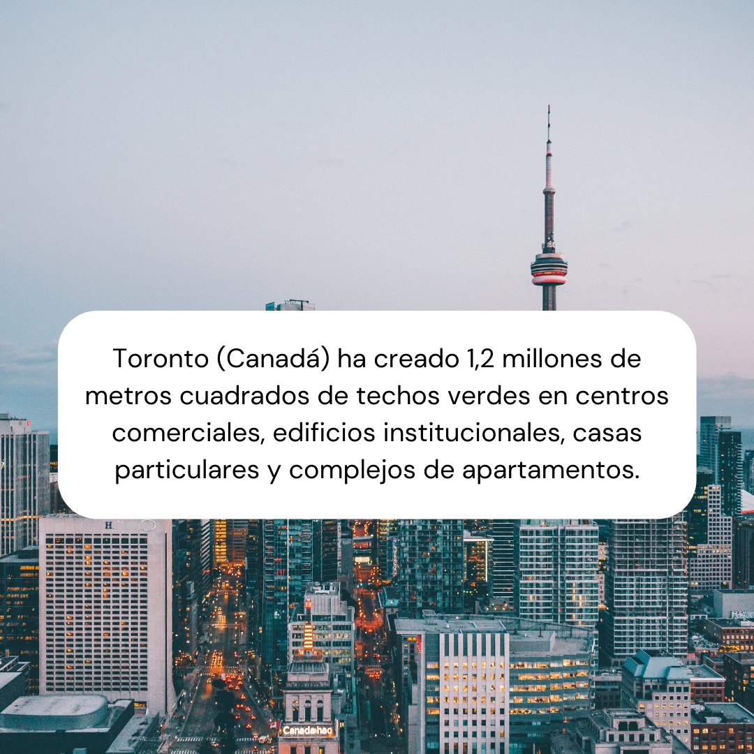 ISMedioambiente's tweet photo. Algunos ejemplos de #ciudadesverdes en el mundo 🗺

Más información:
https://t.co/N7SCBweQBg https://t.co/1EG0ROfdYE
