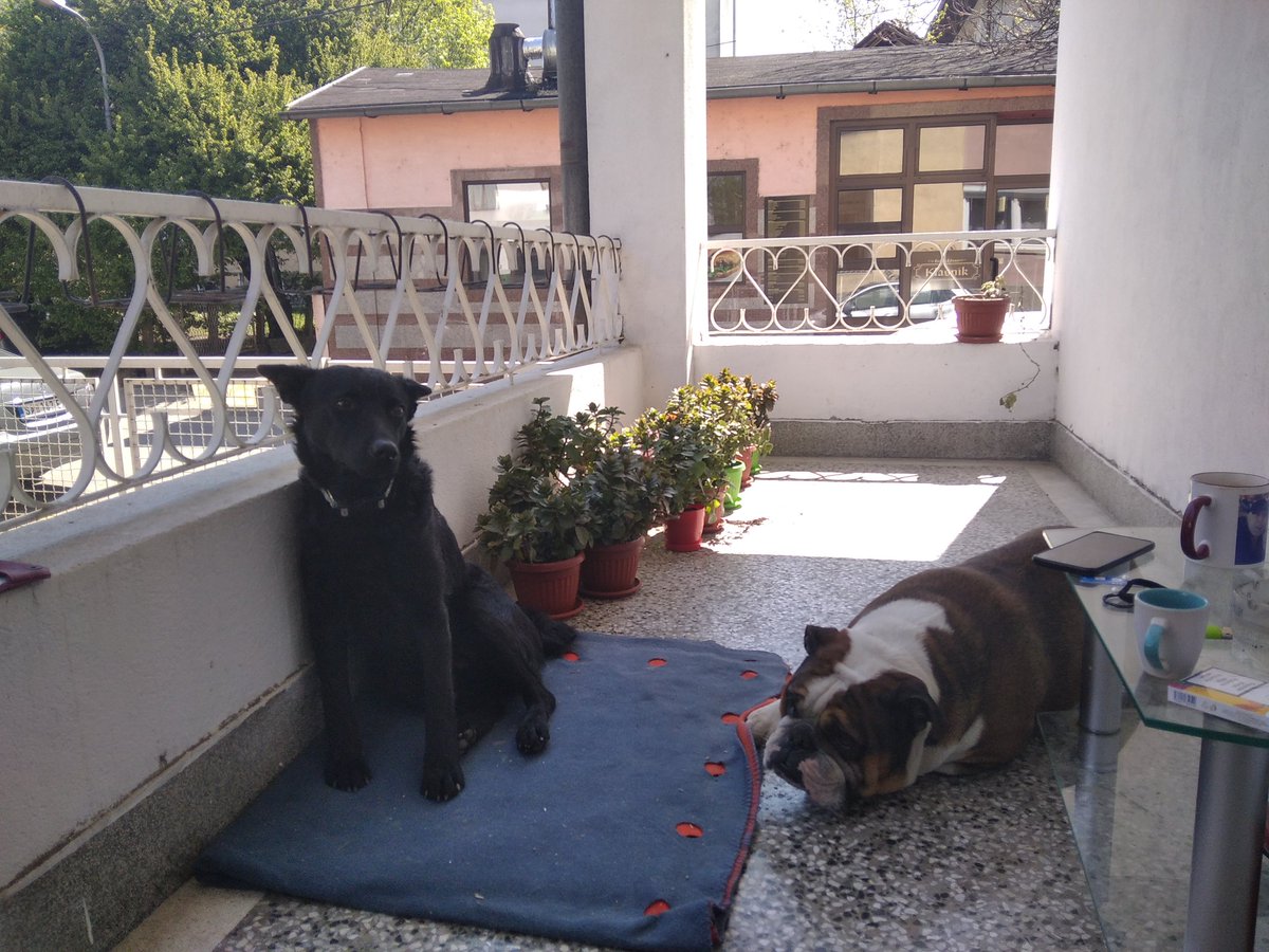 Ko voli cvijeće? Svi vole cvijeće. 😊