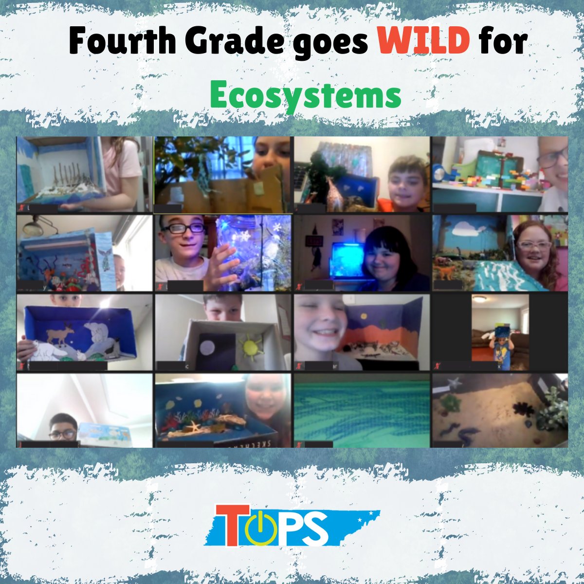 4th grade finished up a unit on food webs and ecosystems with an ecosystem show and tell. Can you guess where our projects are?

#tntops #onlineschool #studentcentered #highqualityonlinelearning #tnpublicschool