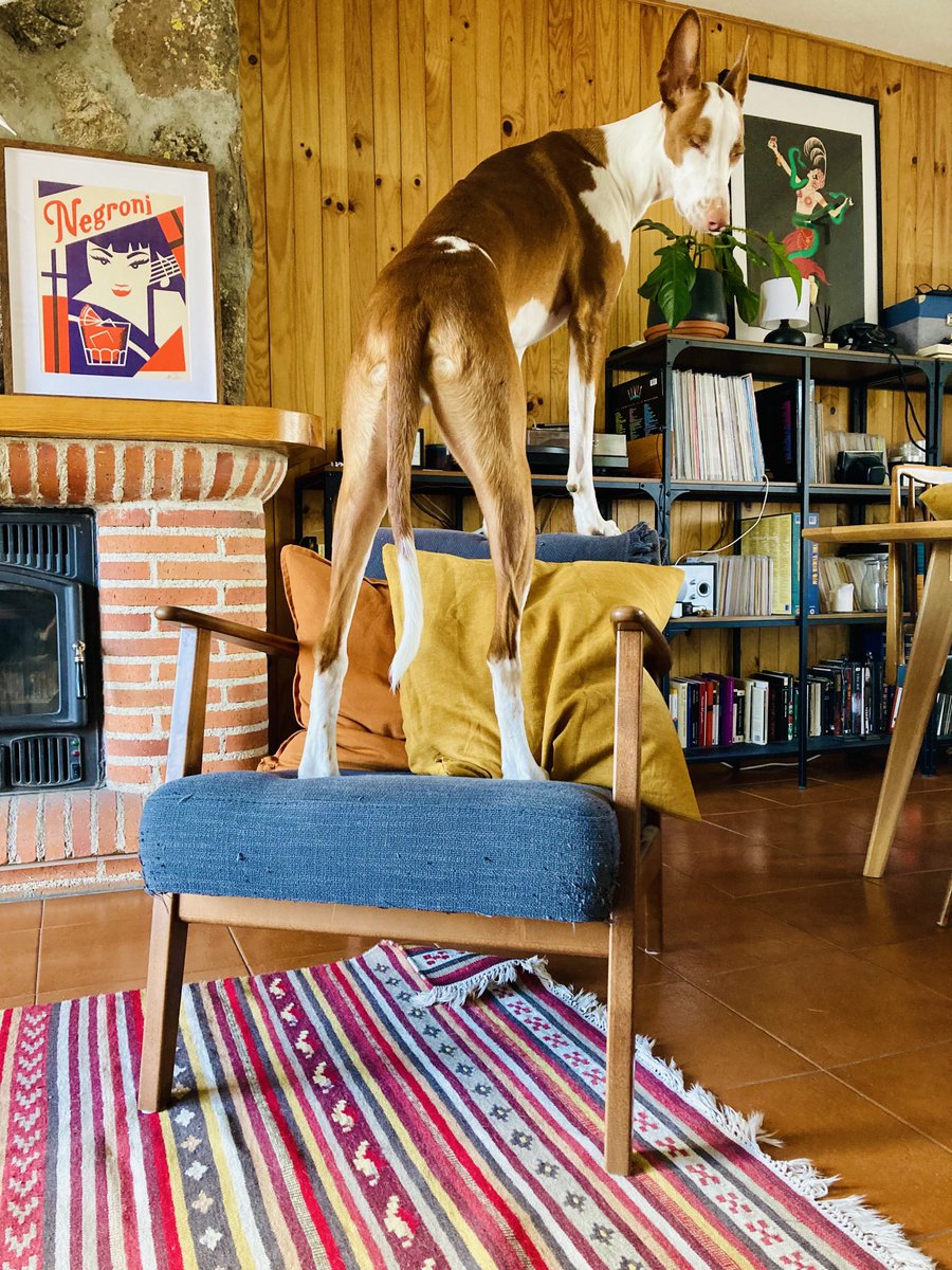 Seguro que al diseñador no se le ocurrió este uso