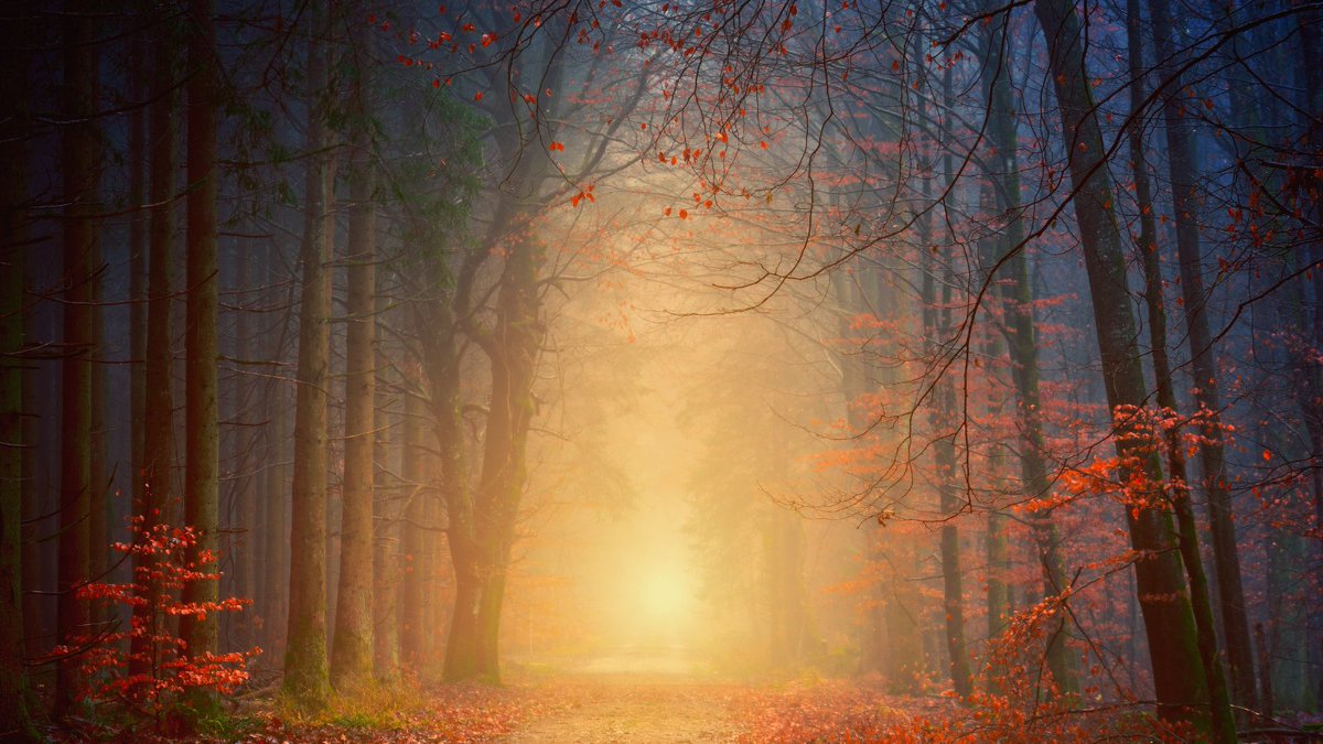 nathappiness's tweet photo. Nature is the warmest colour π
#naturephotography #naturelovers #wanderlust #naturepics #naturallyhappy https://t.co/XrRU305pPG