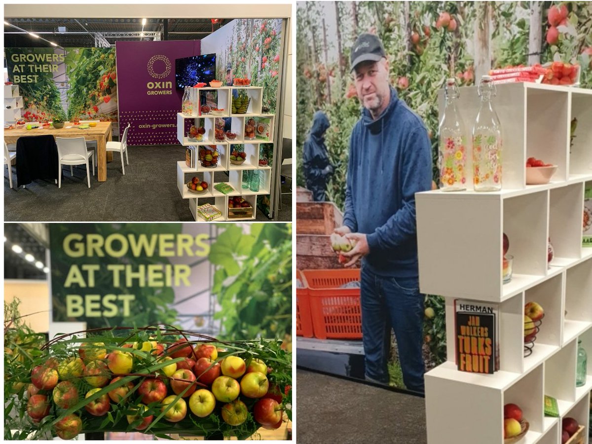 Oxin Growers is op de Fruitteelt vakbeurs in Houten!
Wij ontmoeten je graag op 13 en 14 april 2022 op onze stand (nr. 85) om je bij te praten over onze afzetmodellen, werkwijze en producten. Een stand die je niet wilt missen!
#oxinstaatvoorgroei #fruitteeltbeurs @NFOfruit