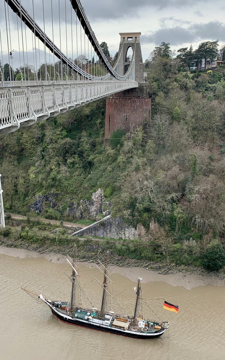 Bristol Harbour tweet media