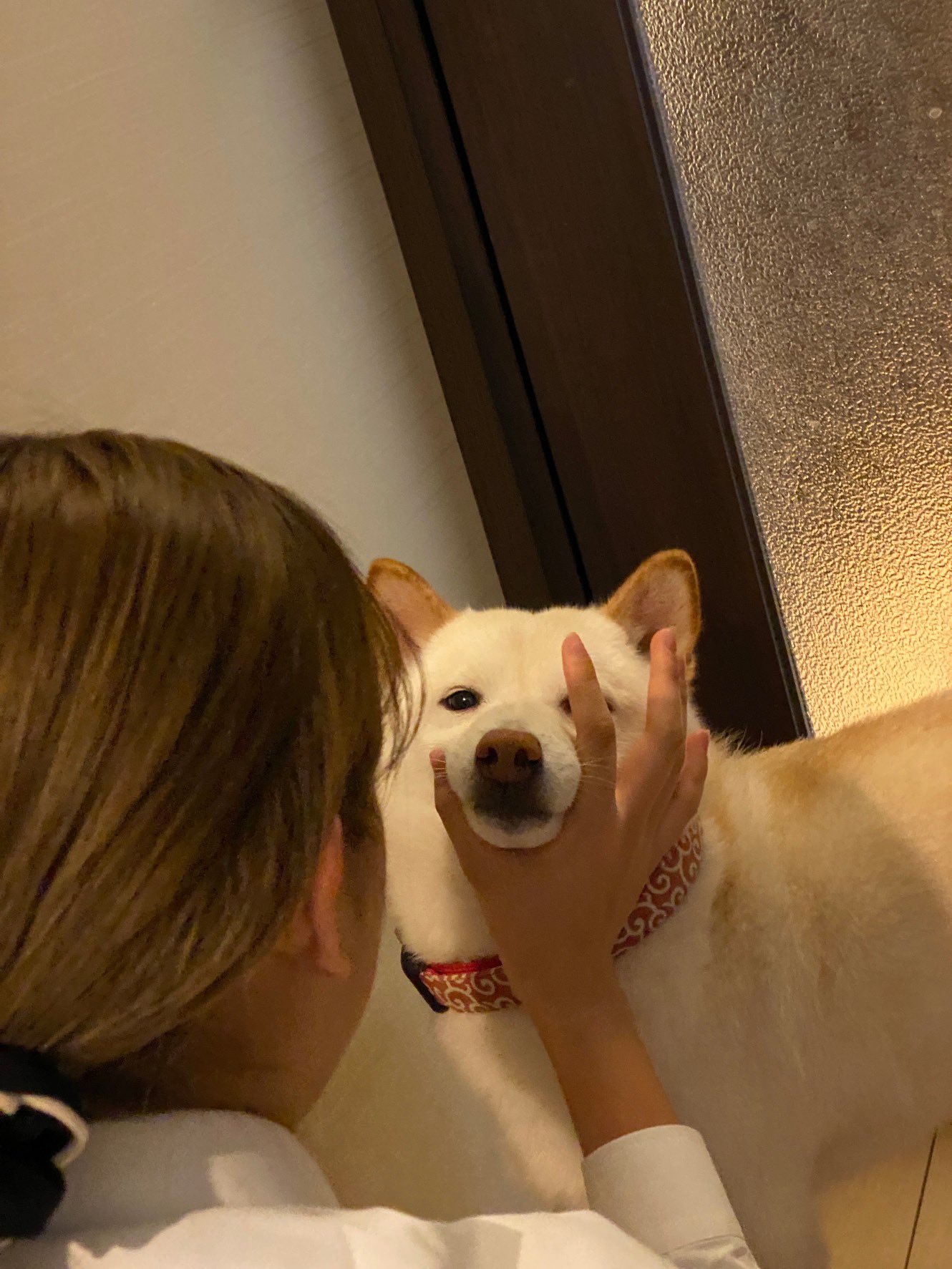 拗ね犬 Twitter Search Twitter