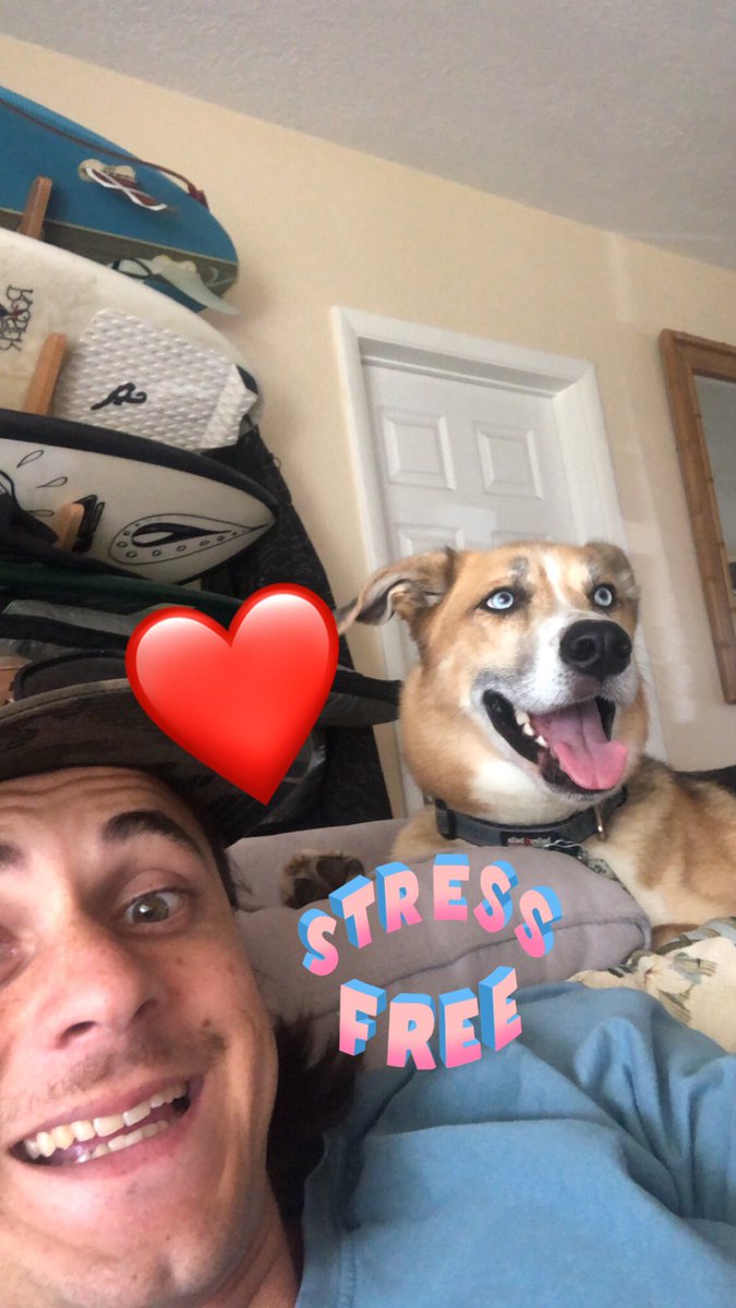 SmileChildz's tweet photo. Happy #PortfolioDay from me and Keko! Here’s my three favorites so far. 

#NFTCommunity #NFTs #NFTartist https://t.co/aDE4pT4Ysz