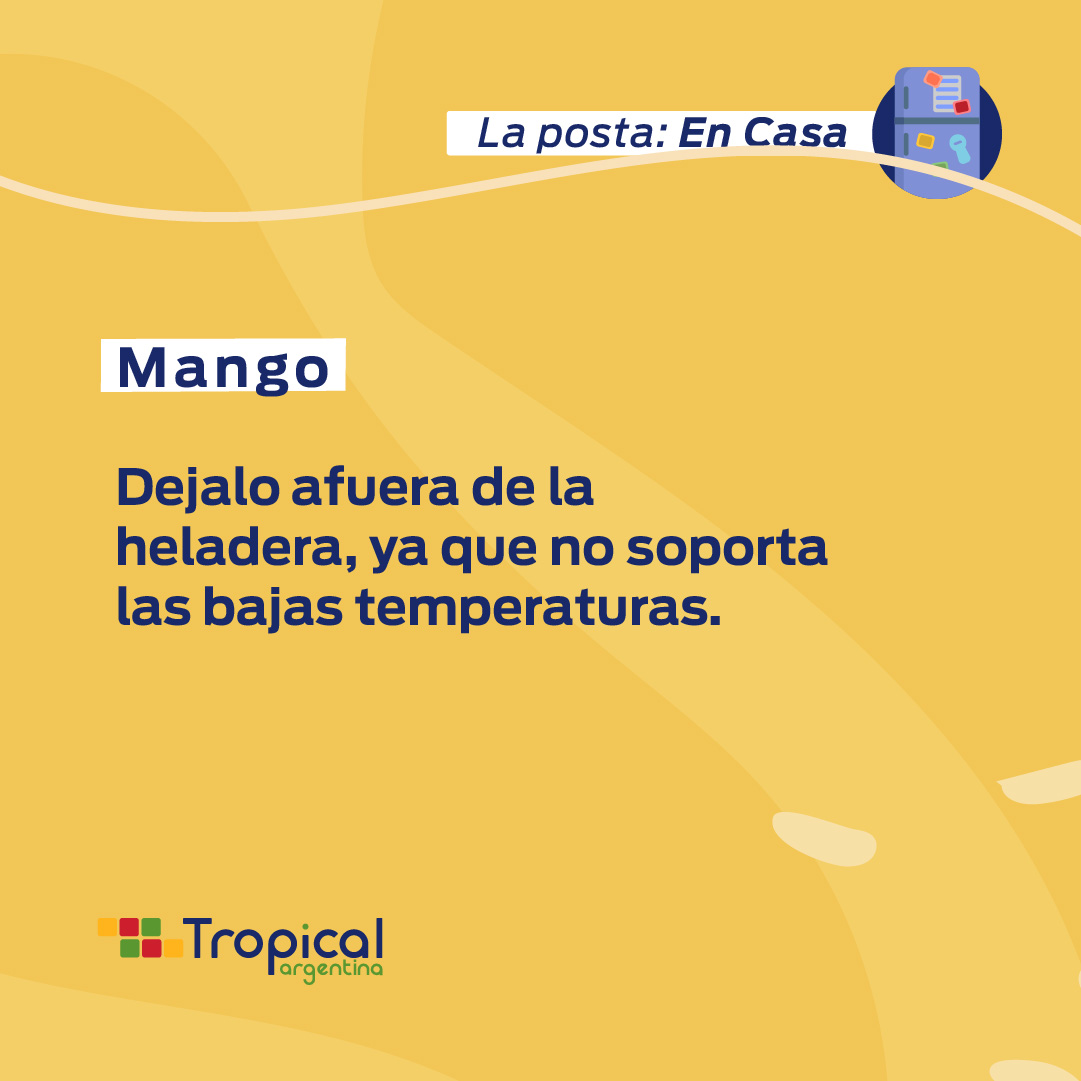 TropicalArg's tweet photo. Si te estoqueaste con mucha fruta, tomá nota de estos tips 💡 Hoy te tiramos #LaPosta de cómo conservar la fruta en casa de la mejor manera 😉🥑

Si te pareció útil, dale amor a esta publi poniendo ❤️ 

#SúperTip #HábitoSaludable #SaludableYRico #FrutaTropical #PasiónPorLaFruta https://t.co/LF94Qss0i3