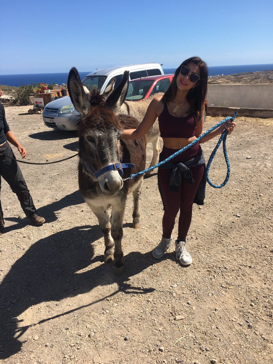 TFhorserescue's tweet photo. The lovely @SineadRoth came to visit us and take the donkeys for a walk, while discussing some exciting collaborations for the future!
#donkeywalks and #collaborationtalks!
#horserescue #adoptdontshop #ngo #Animal #OceanOptimism https://t.co/M4PkbM7Q45