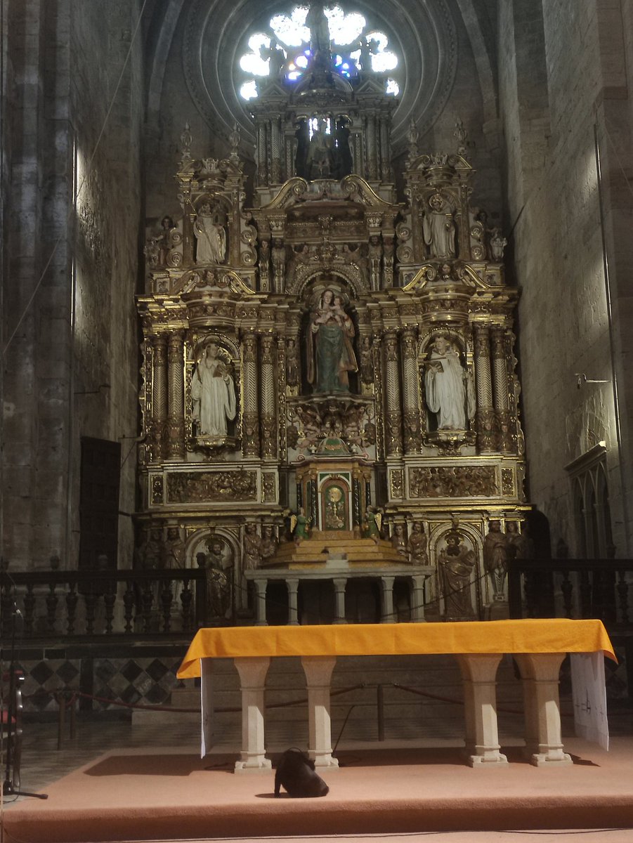 Juanjo_de_akkad's tweet photo. Michi limpiándose las gónadas ante el altar. https://t.co/C1FM9a2UTo