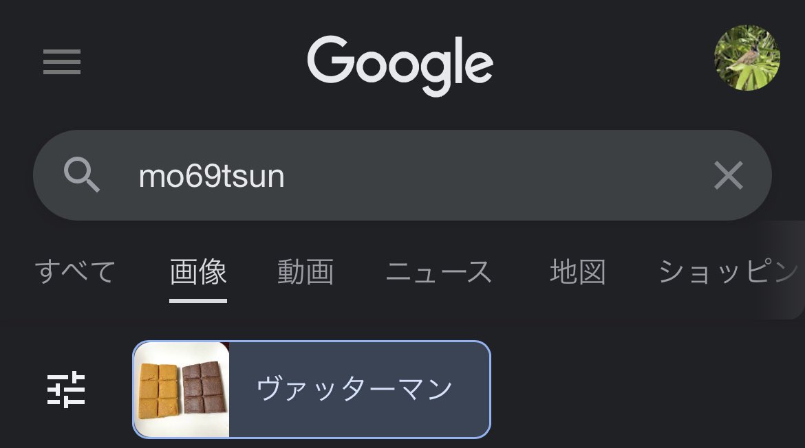 自分のアカウントIDで検索して「それはヴァッターマンではないのよ」と声が出た 