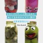 ネオかわいいってこういうこと？!ぬいぐるみのホルマリン漬け!
