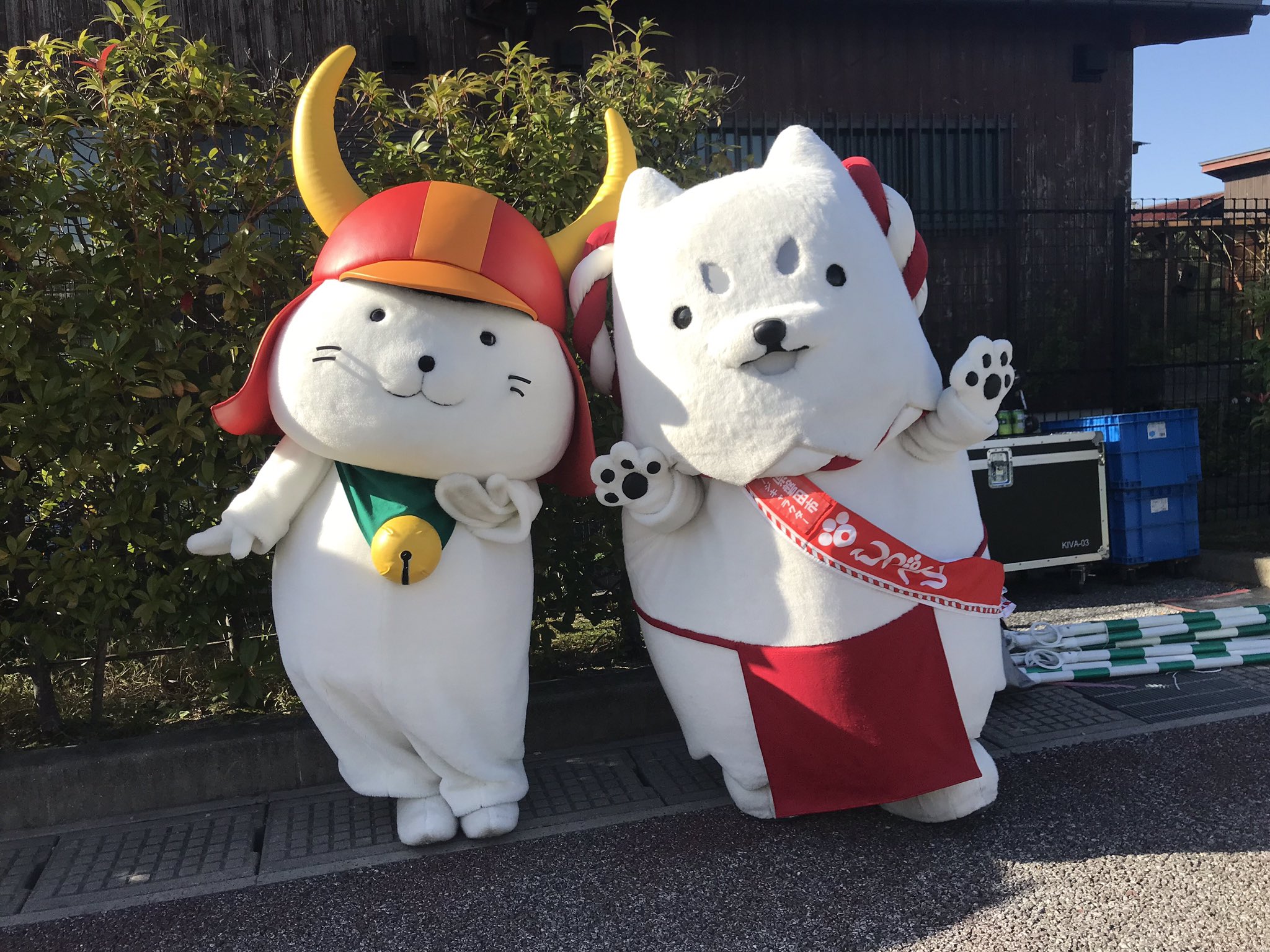 しっぺい 今日はひこにゃんの誕生日だったね お布団に入ったら夢に出てきて思い出したよー 遅くなっちゃったけど おめでとー ずいぶん会えてないけど また遊べるといいな T Co N33gwygk8j Twitter