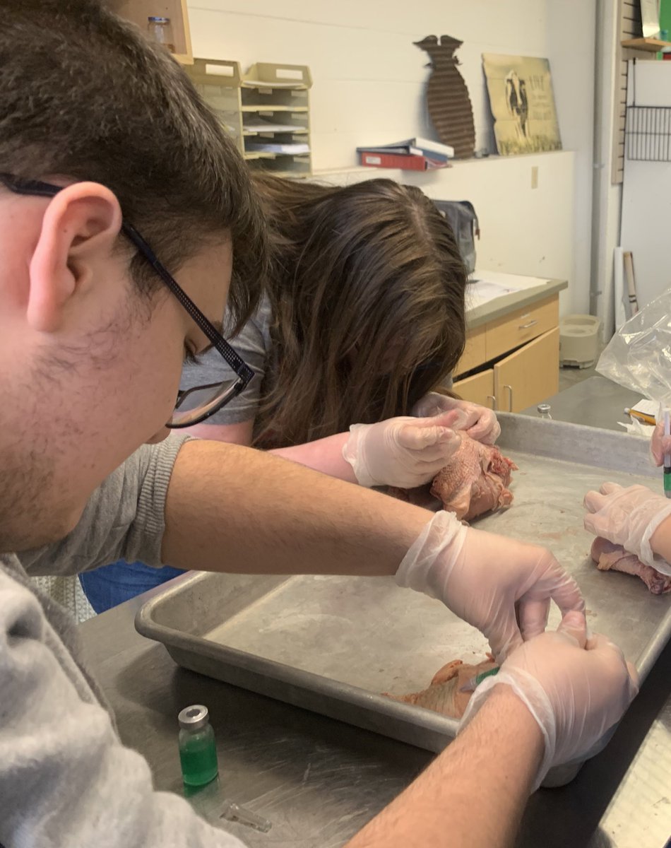 Lacey Walker tweet media