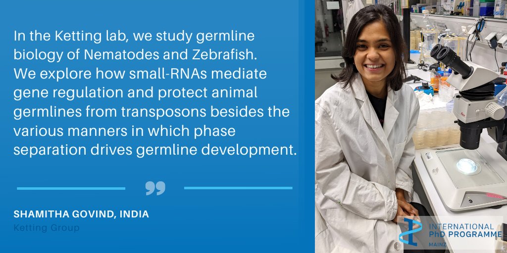 Open #PhDposition in the @KettingLab at IMB! 📢

Check out our International PhD Programme #IPPMainz at imb.de/PhD and apply by 3 May!

Take a look at the projects offered in the <a href="/IPPMainz/">IPP Mainz - PhD Network</a> summer call 2022: imb.de/students-postd… 
#epigenetics #rna #phaseseparation