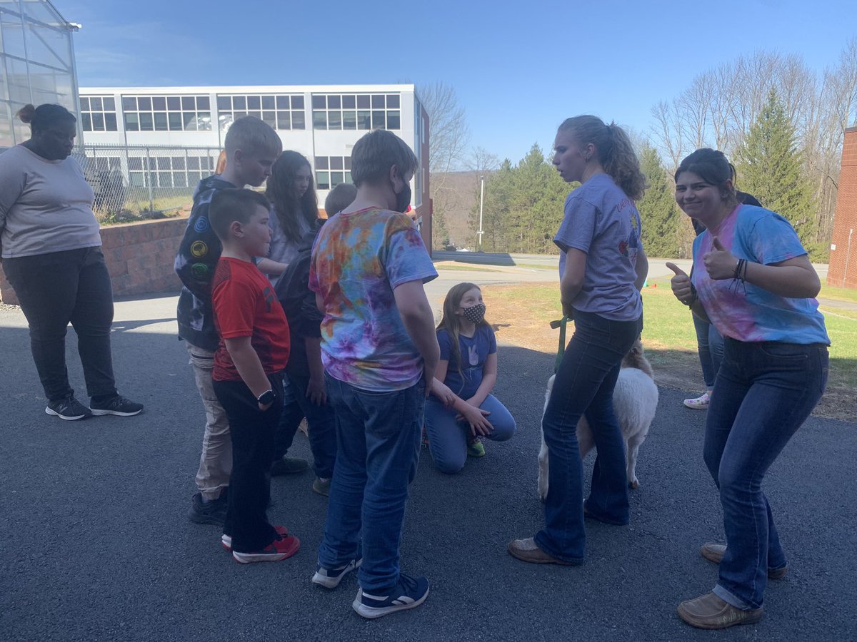 Lacey Walker tweet media