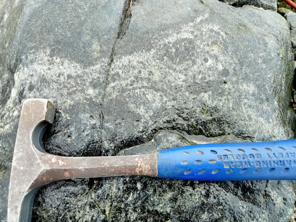Geology_Tim's tweet photo. We are now at hotter temperatures now with CPX and garnets #MSG22 https://t.co/ridGpIufCE