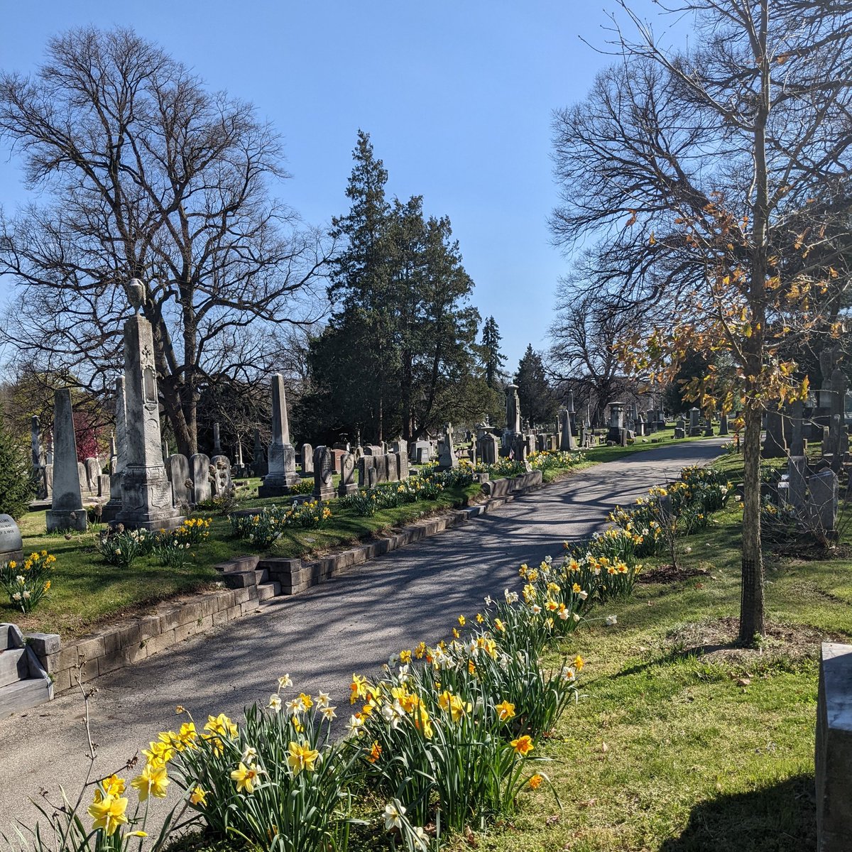 folaurelhill's tweet photo. Stop and smell the flowers today! Gates are open until 7 PM and this weather isn't going to enjoy itself. @visitphilly #spring https://t.co/8T8mCFcRw9