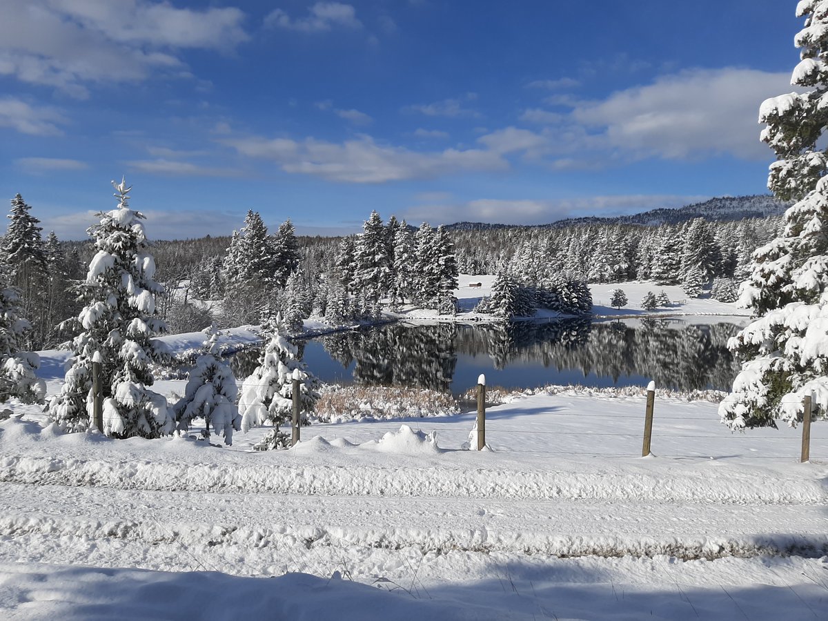 RanchEmu's tweet photo. So. . .How's YOUR April going?! We're Dreaming of a Whiiiiiite Easterrrrrr. . . 

#montanaemuranch #emutrients #emuplus #EMUGency #emu #emus #Emulove #emuoil  #madeinmontana #growninmontana #local #localbusiness #spring2022 #montana #snow #WhiteEaster https://t.co/Vda4EgQEBN