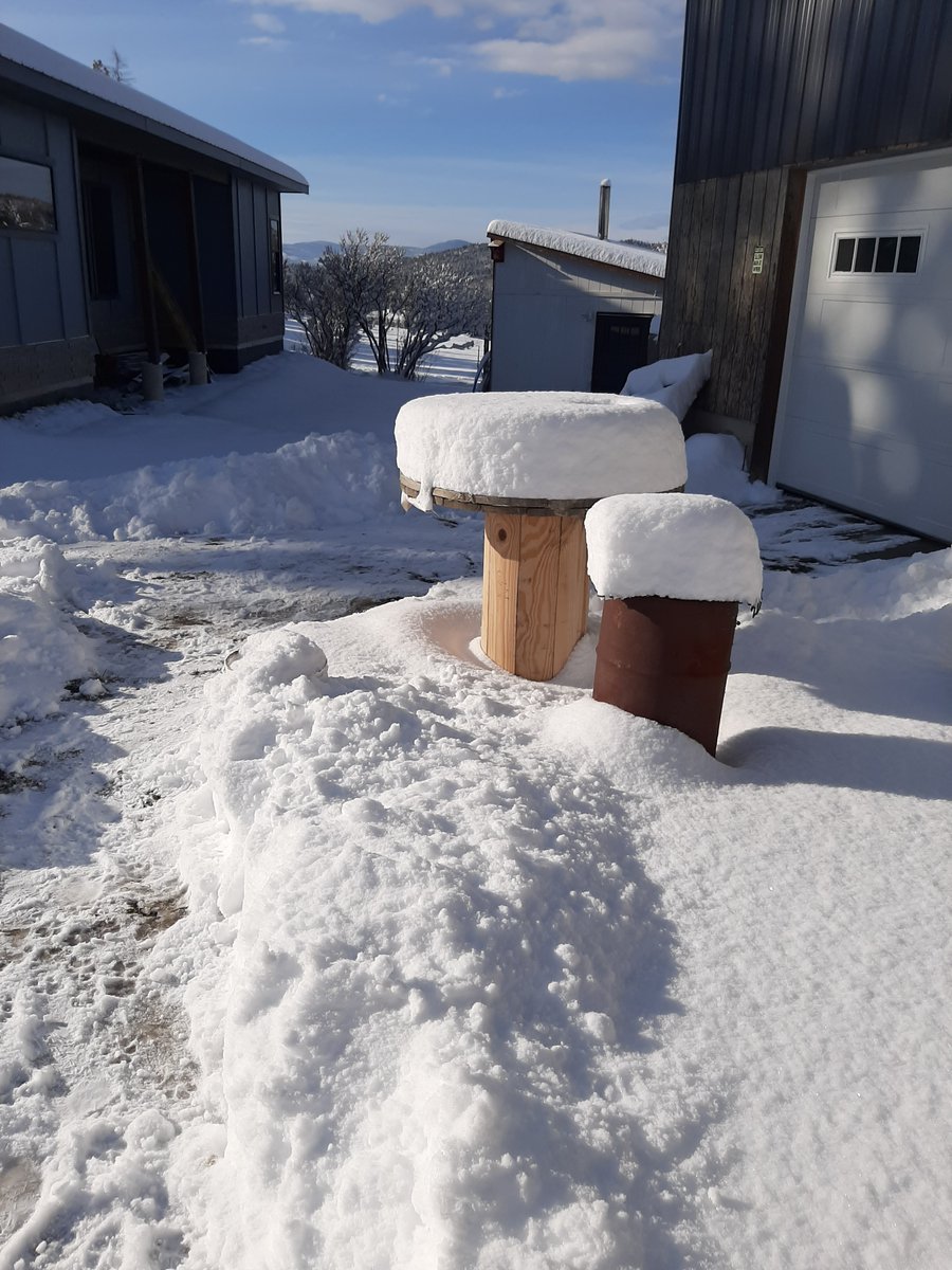 RanchEmu's tweet photo. So. . .How's YOUR April going?! We're Dreaming of a Whiiiiiite Easterrrrrr. . . 

#montanaemuranch #emutrients #emuplus #EMUGency #emu #emus #Emulove #emuoil  #madeinmontana #growninmontana #local #localbusiness #spring2022 #montana #snow #WhiteEaster https://t.co/Vda4EgQEBN