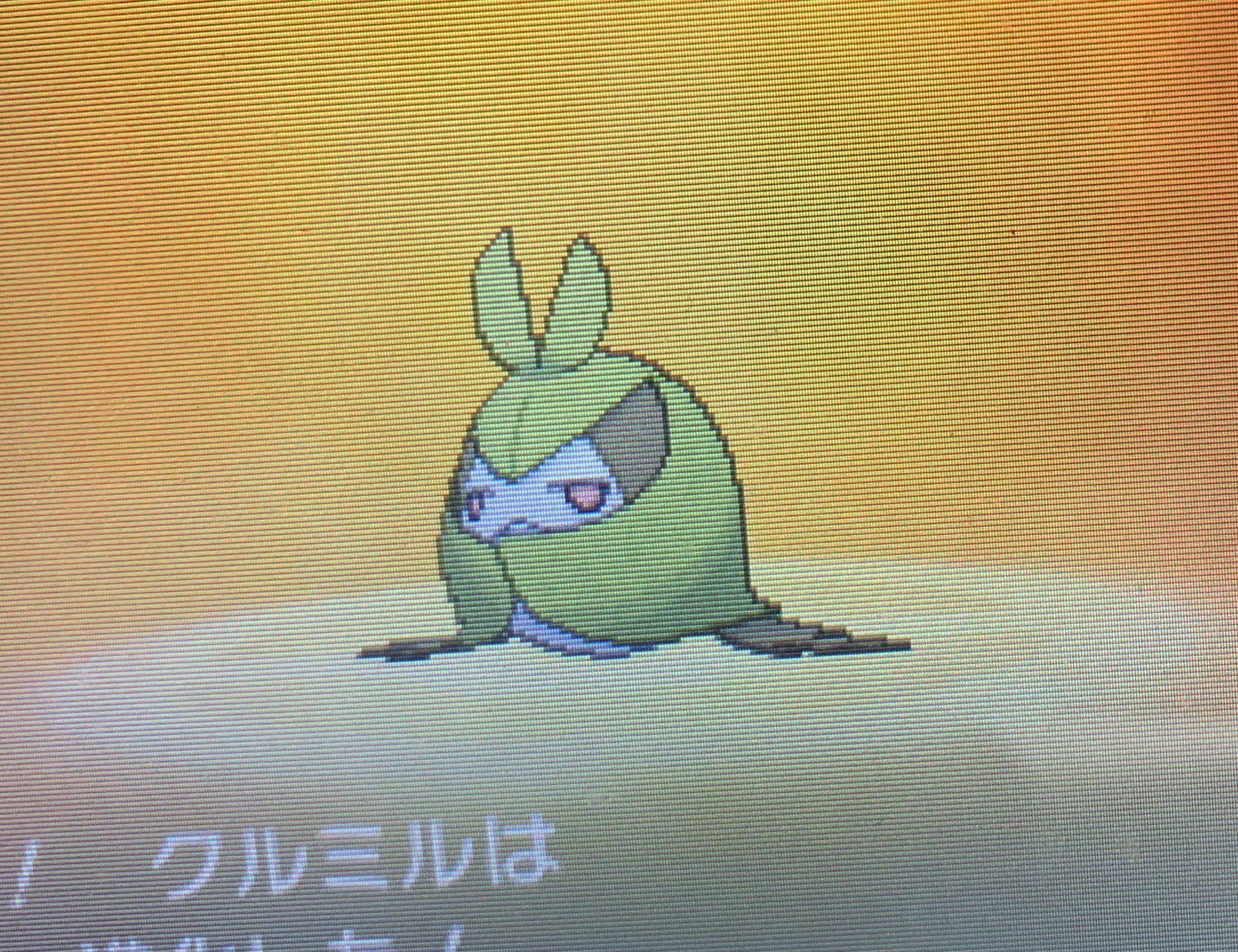 ライト 2匹目の色違いクルミルゲットです さっそくクルマユに進化です Usum T Co 2k3uvwxiua Twitter