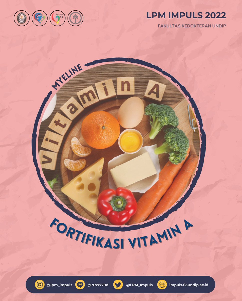 LPM Impuls FK UNDIP tweet media