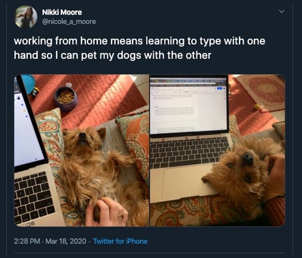Peppercomm's tweet photo. Multitasking at its finest. We also have full on conversations with our dogs throughout the day, too. #NotAfraidToAdmit #GoodListeners #WednesdayWit 🐶 https://t.co/DYoSAJ6X5H