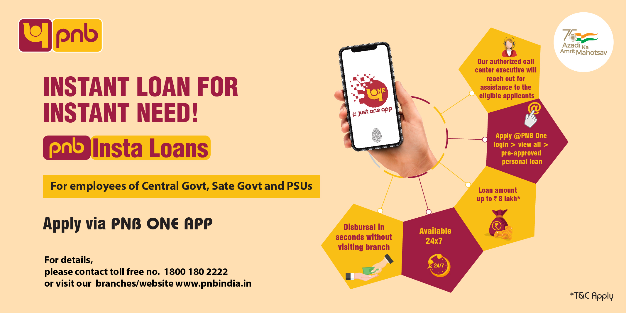 pnb insta loan