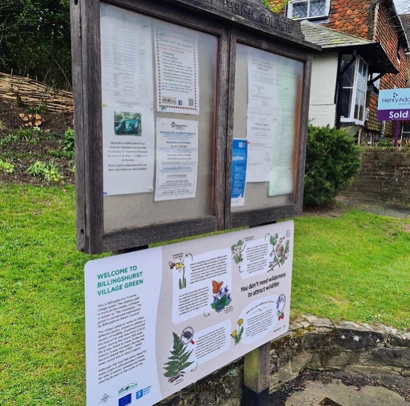 Silverback® tweet media