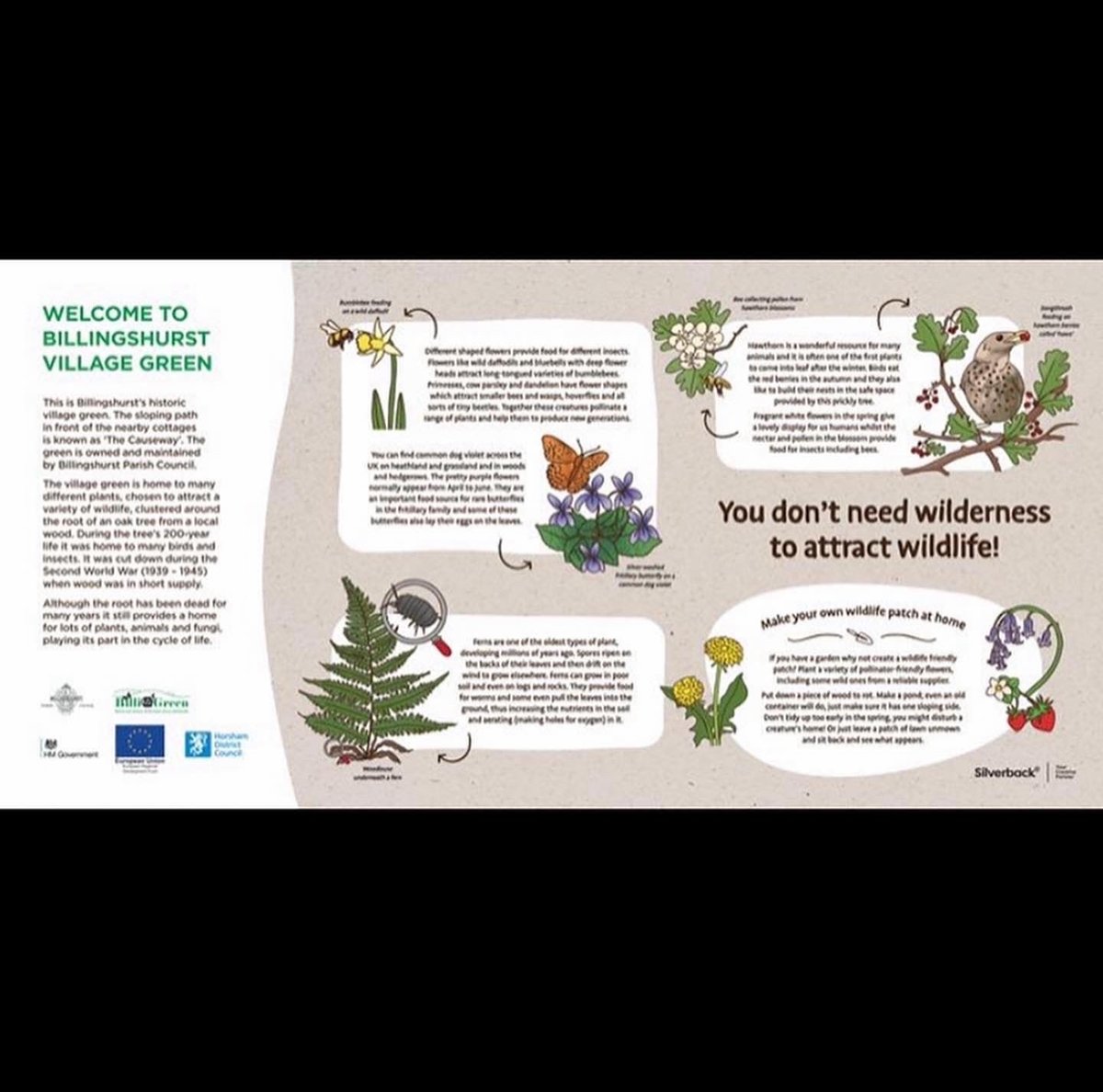If you're out and about in Billingshurst, keep an eye out for our latest collaboration with @horshamdc <a href="/billigreen/">bill</a>, an illustrated information panel centred around the local wildlife and what the residents can do to help out mother nature.