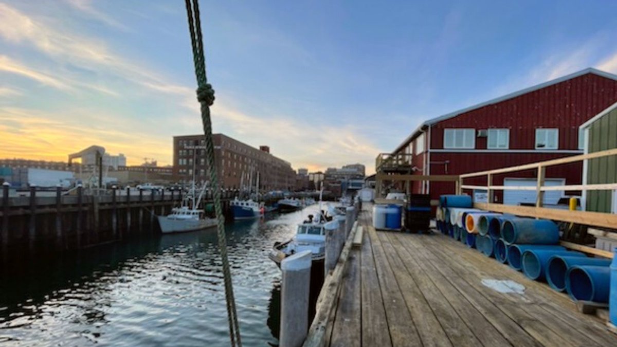 Haddie’s Bay Club 🦞$HBAY on #BNBChain 🔸 tweet media