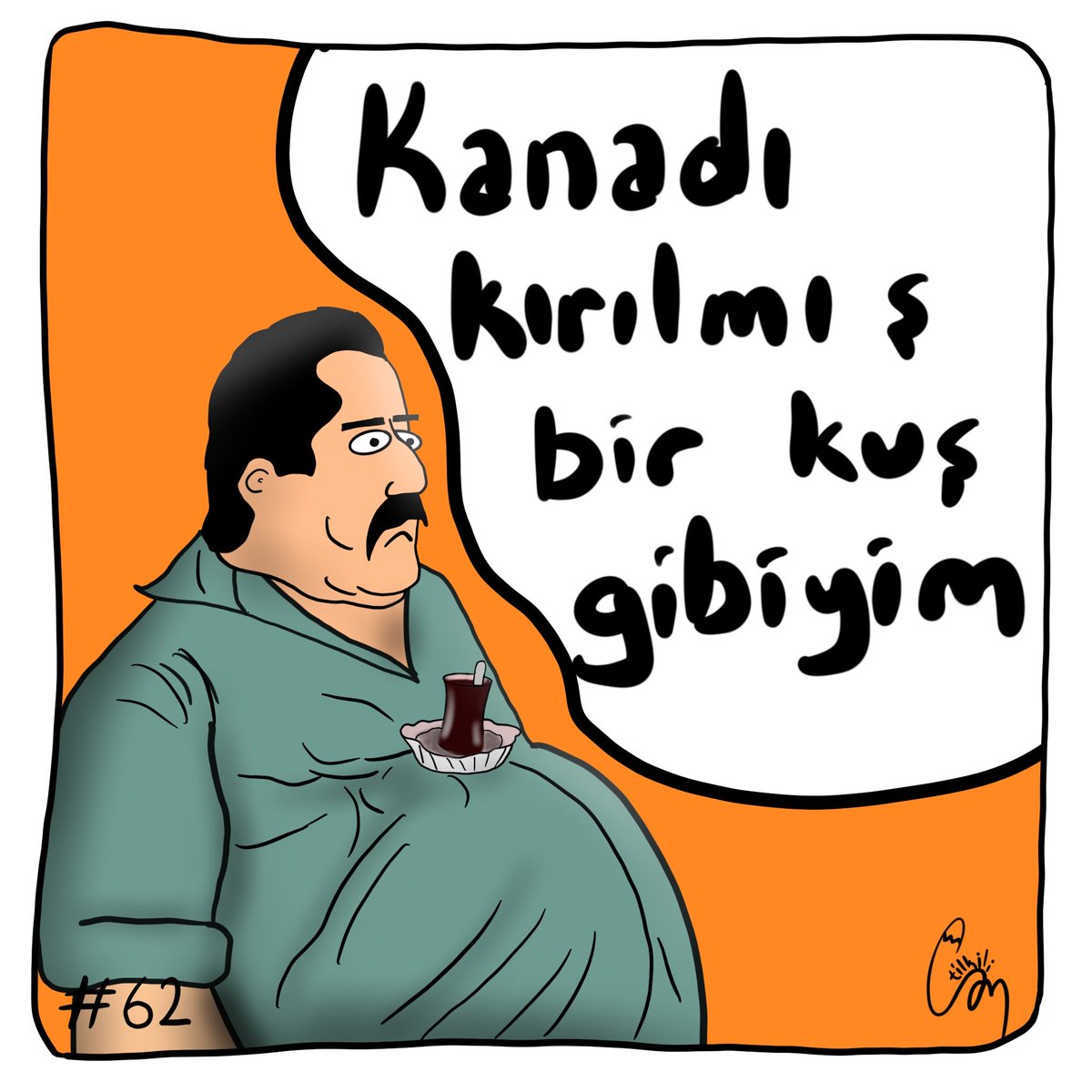 Kanadı kırılmış minik bir kuş bu 😂 #aylakanimasyon #aylakkarikatür #karikatür