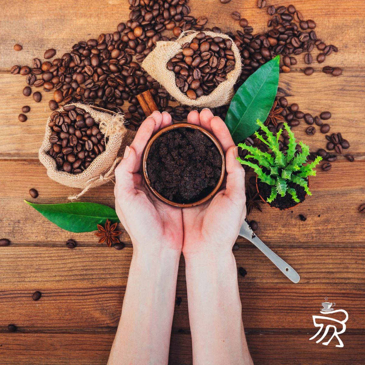 jumpymonk's tweet photo. Did you know that coffee grounds can be used in the garden? They make a great fertilizer for plants and flowers, while keeping away some unwanted pests.
.
This is an awesome way to repurpose your old coffee grounds!
#JumpyMonkey #CoffeeWithaCause #CoffeeGrounds #Gardening https://t.co/aW3cCMG93T
