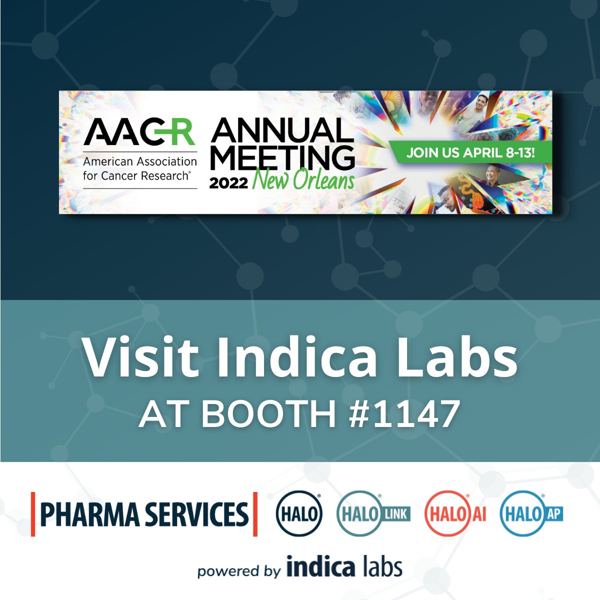 Indica_Labs's tweet photo. Visit our collaborative posters at #AACR2022 today from 9 am - 12:30 pm with #Visikol and #AcdBio #Biotechne! Check out our blog post for details and information on the 12 additional presentations featuring HALO!

https://t.co/bM2HqtraRc

#digitalpathology #HALOimageanalysis https://t.co/ygcLQS8zHg