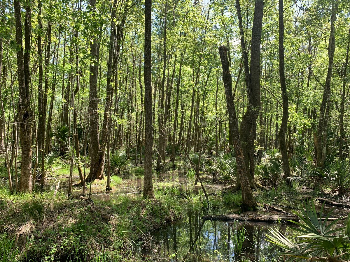 SE10PR's tweet photo. SE10 donates 1% of its time and resources to charitable causes. Damian Joseph spent a day in the field with Lowcountry Land Trust, a conservation group based in Charleston, SC. Here he is with President and CEO Ashley Demosthenes touring the A.C.E. Basin. https://t.co/UvId79hsr6