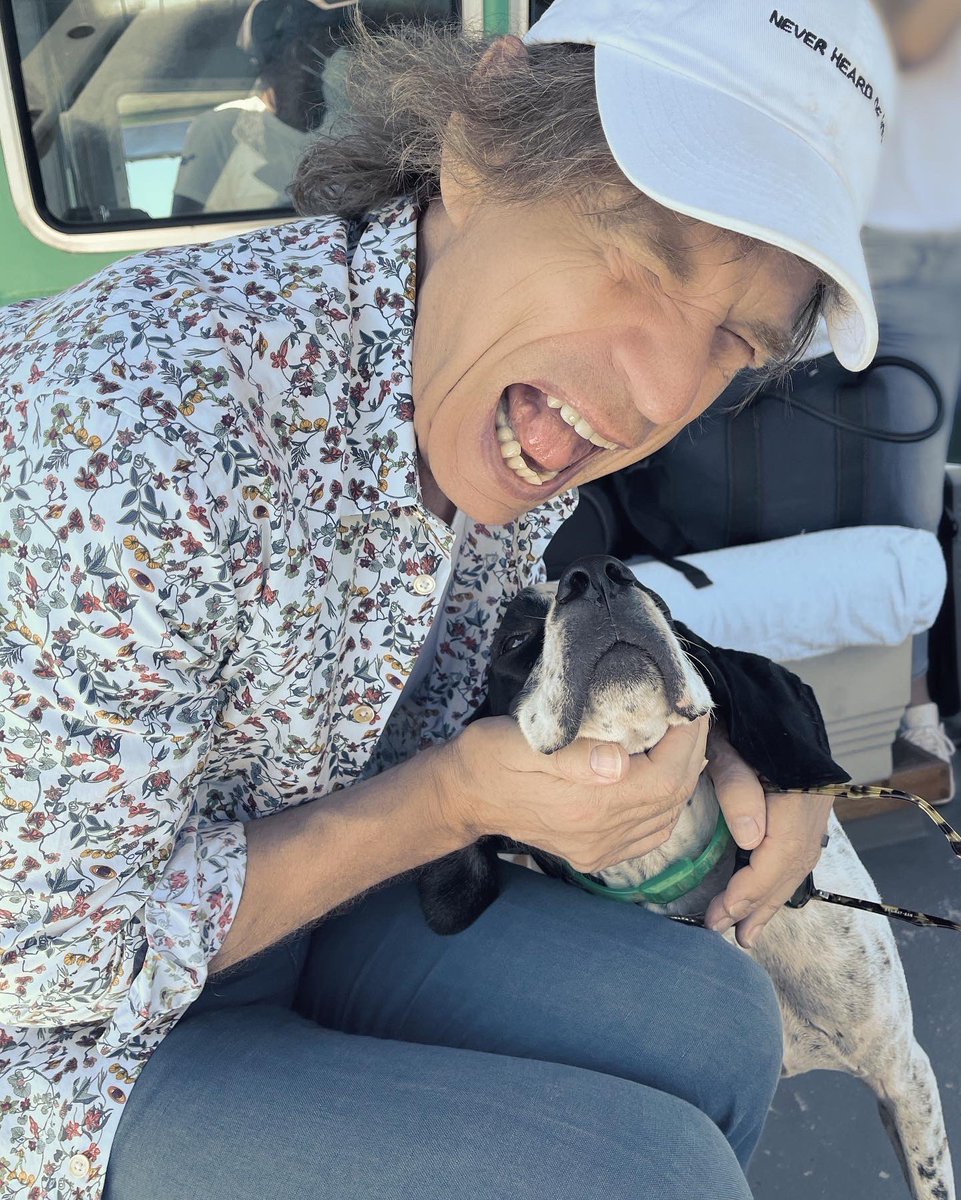 Welcome to the jungle!