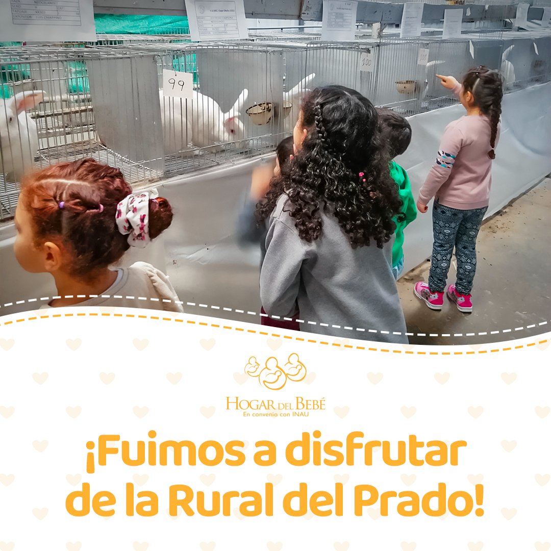 hogardelbebe's tweet photo. 🌞 Visitar la Rural del Prado ya es un clásico de la Semana de Turismo para los niños y niñas.

Es un espacio donde disfrutan del aire libre y de las actividades propuestas. Están en contacto con los animales y aprenden mucho. 🐰🌿

¡Un hermosa manera de divertirse en vacaciones! https://t.co/MNM9Mg02Dd