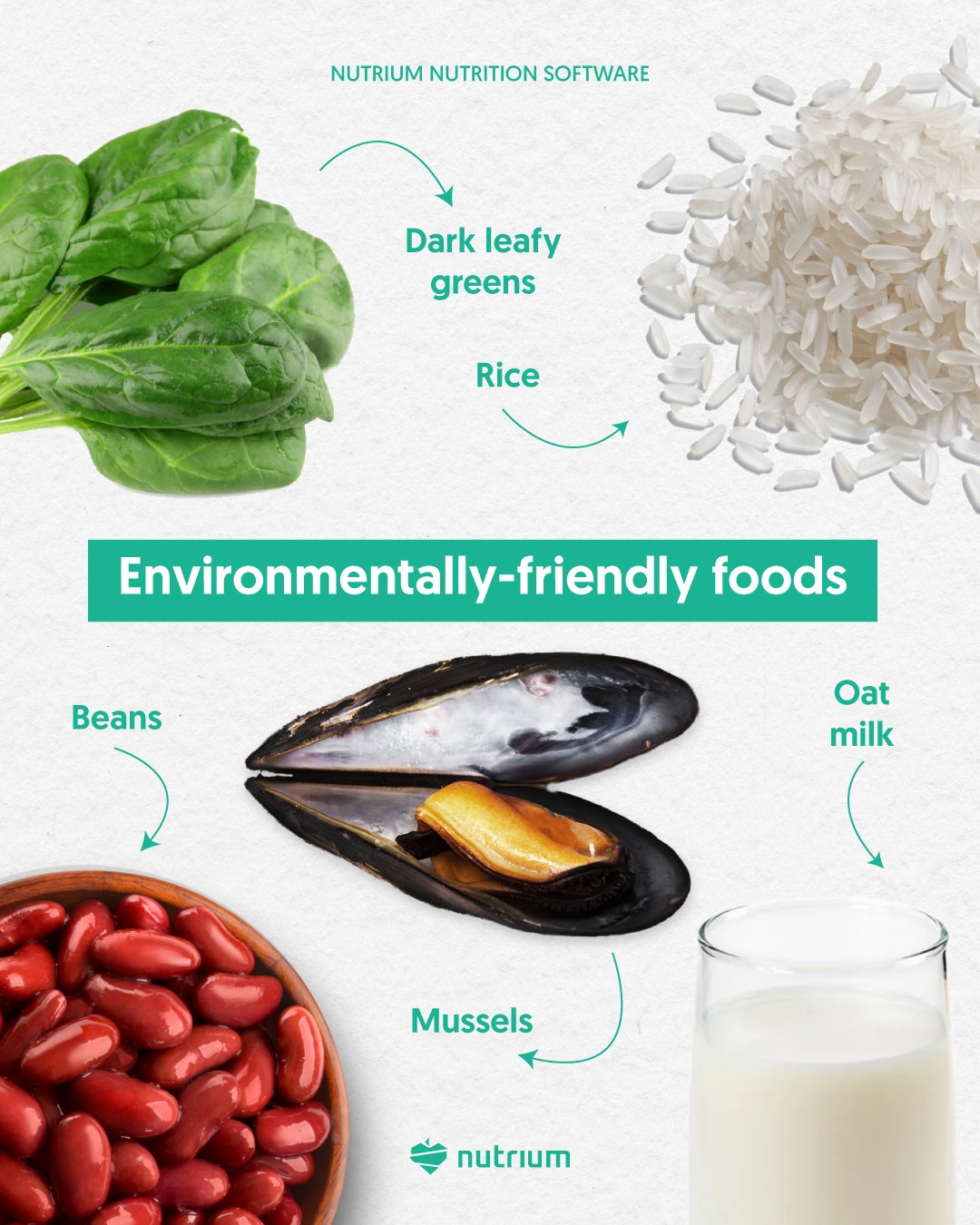 Twitter-āĻ Nutrium: Twitter-āĻ Nutrium: