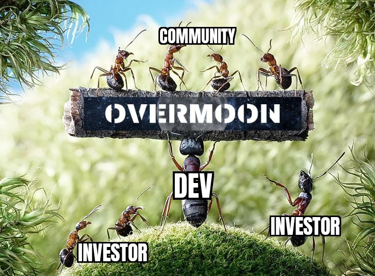 21Muino's tweet photo. @OverMoonToken My entry
@OverMoonToken
#Overmoon #weareovermoon #overmoonarmy #memecoin https://t.co/RykTG13clG