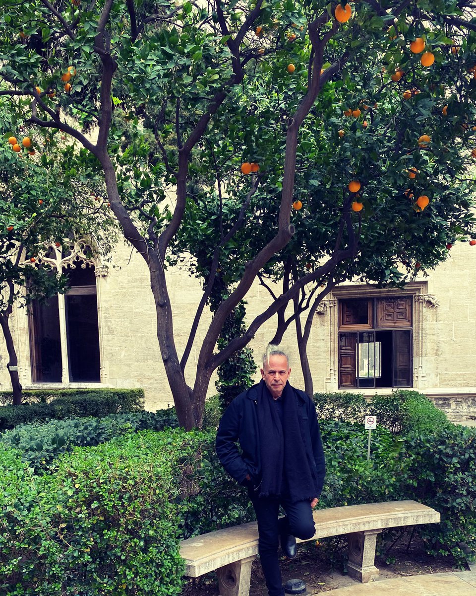 I went to see Spanish Oranges. I'm happy for the Oranges, as in Spain, they have in my view, the best attitude Oranges can get :) Sweet spring to all 🍊.