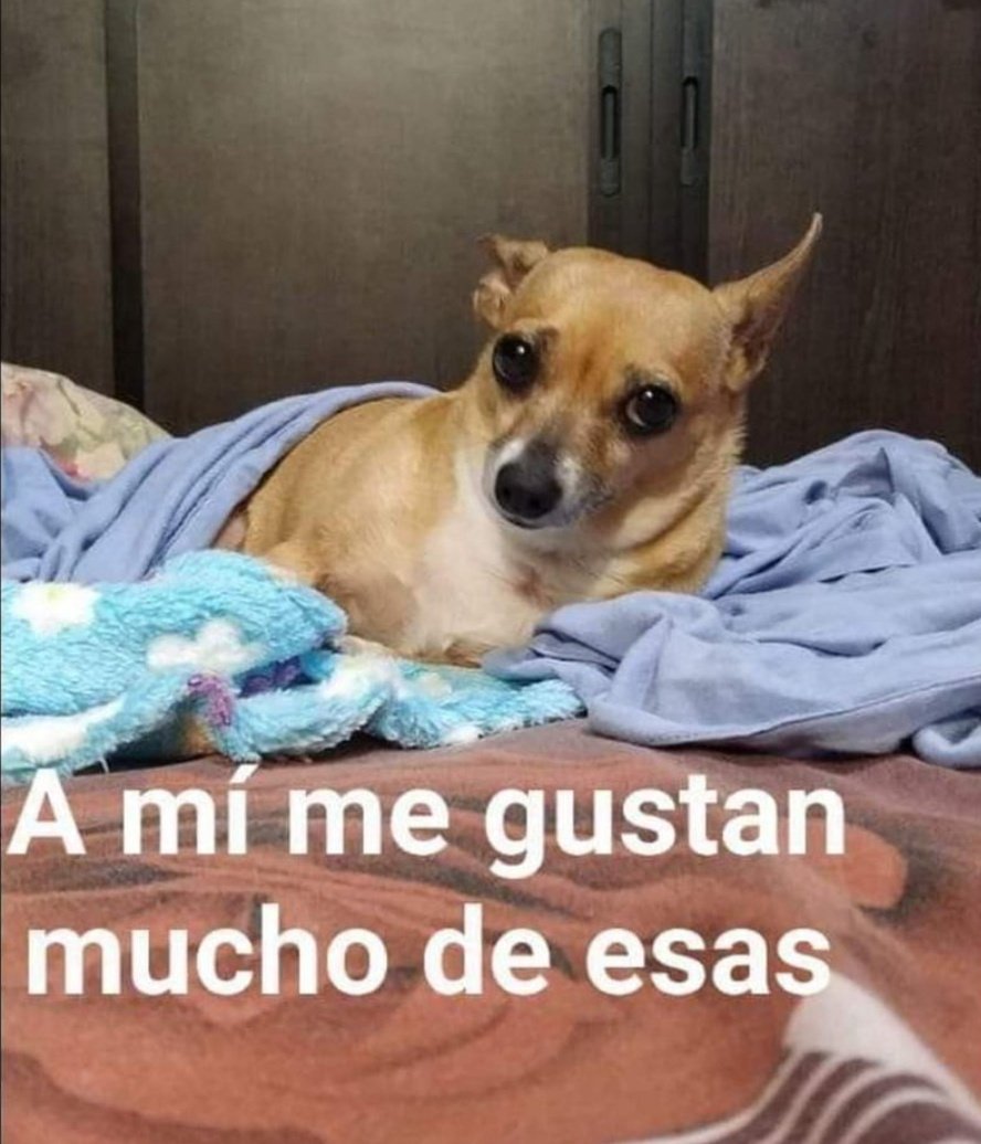 🔞Selfsuck🔥93k on Twitter "Do u want bby ? https//t.co/iXgfLrLEv3