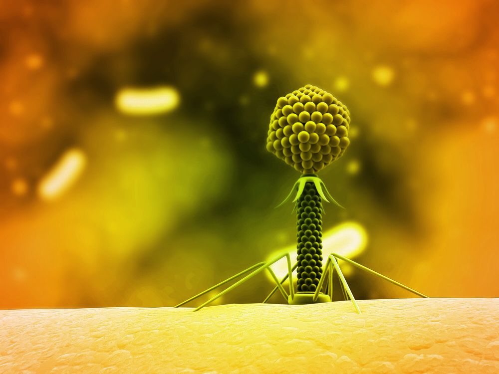 RealiApologia's tweet photo. The Bacteria Virus Machine that Points to the Creator | iApologia  https://t.co/gJDH9AHa22 https://t.co/EsAobd3XlY