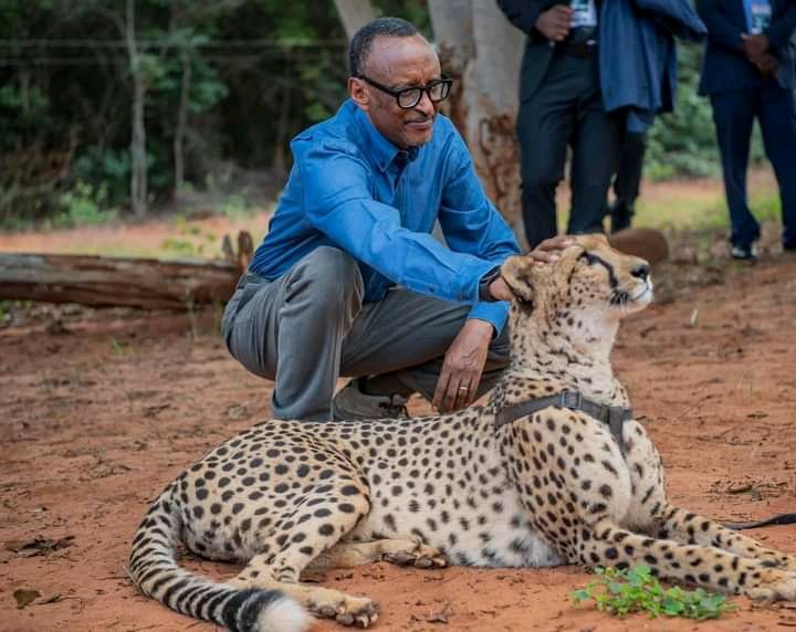 ogeventszambia's tweet photo. Sons of Africa really had a good time in LIVINGSTONE ZAMBIA
📷 LIVINGSTONE ZAMBIA
@PaulKagame @HHichilema
#OGevents https://t.co/dp0thZFYDO