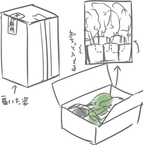 地元のお店で見つけられなくて結局通販したんだけどダンボールへの収まり方がかなりミチミチで天地無用になってたけど開ける時うまくガムテ剥がせなくて倒しちゃったけどびくともしてなくて謎の技術…?!って思った 1個め取り出すのにかなり手間取ったくらいガチッとはまっててすごかった。 