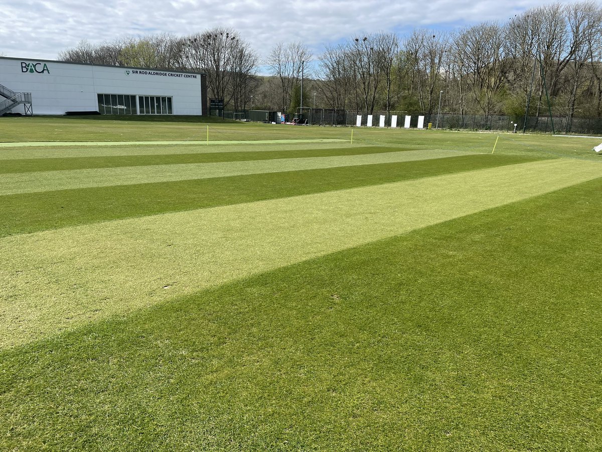 Square cut + sun out making the grass look good