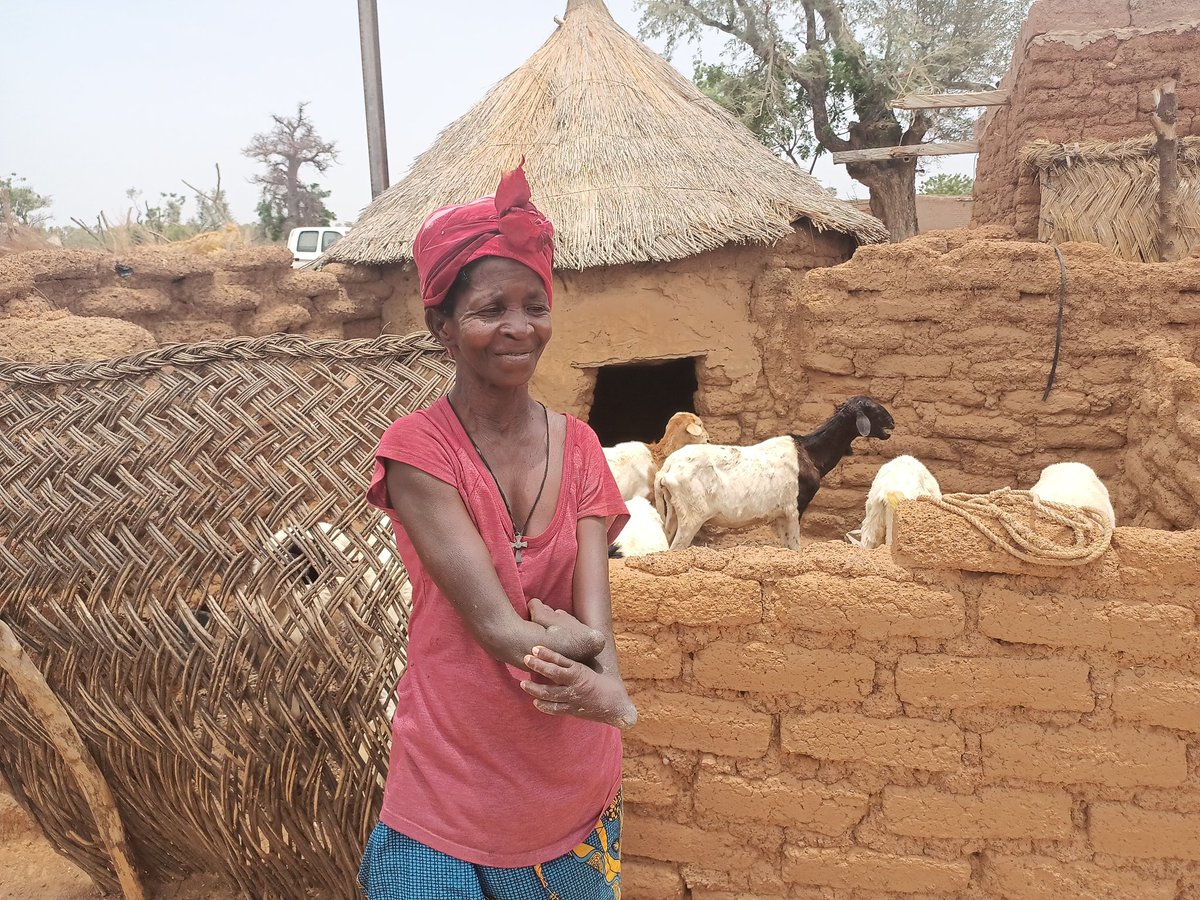 BertilleZoung's tweet photo. #Yempoaka a reçu de l'AMR-Burkina deux moutons il y a quelques années aujourd'hui, elle en possède une dizaine grâce à son courage et son abnégation. Découvrez bientôt l'histoire de cette brave femme. https://t.co/C3nknDlpVZ