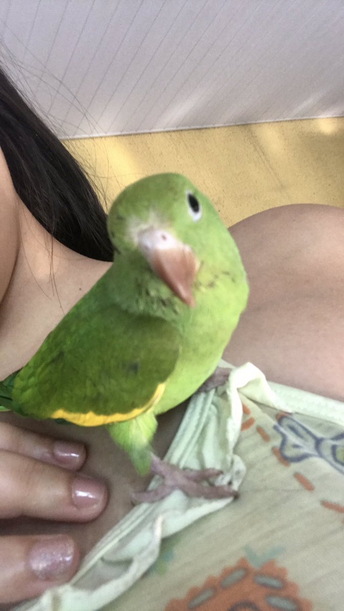 Kituita passando na sua tl