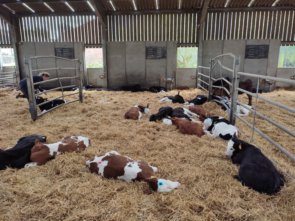 CW Farm Vets tweet media